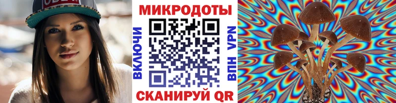 Псилоцибиновые грибы Cubensis  Купить закладки  Апшеронск 